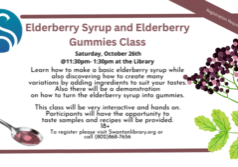 Elderberry Syrup and Elderberry Gummies Class