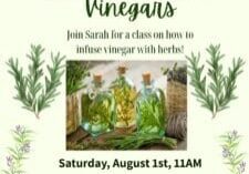 Green and White Illustrated Herb Festival Poster (1)