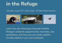 Workshop Wetlands & Wildlife in the Refuge (1) (1) (1)